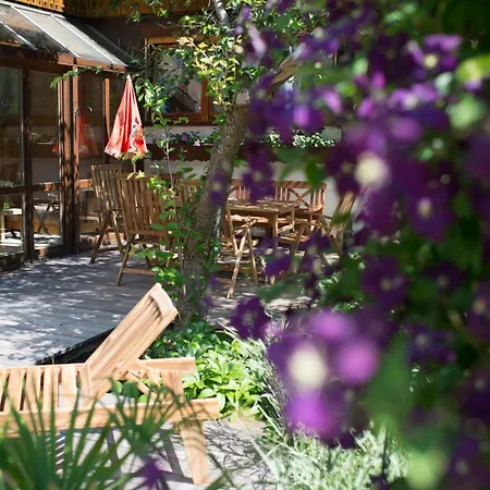 Strolch - Ihre Allgaeu-auszeit Mit Hund Apartamento
